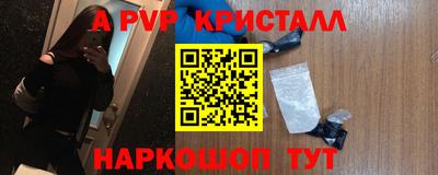гидра Гатчина