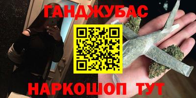 гидра Гатчина