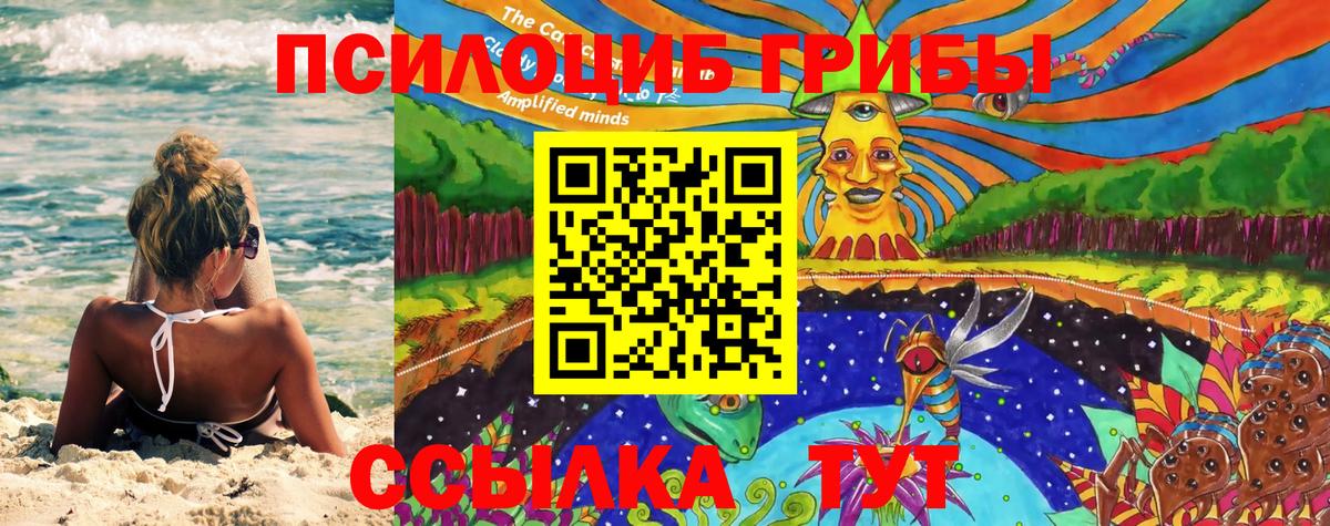 Псилоцибиновые грибы мухоморы Новокубанск