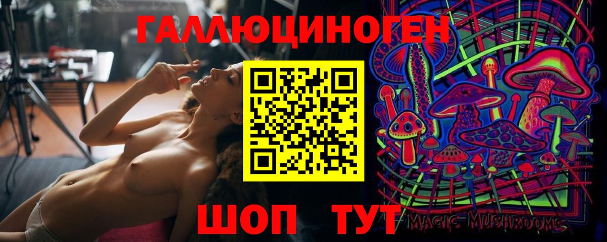 Галлюциногенные грибы Psilocybe  Галлюциногенные грибы GOLDEN TEACHER  Новокубанск  Вход с VPN 
