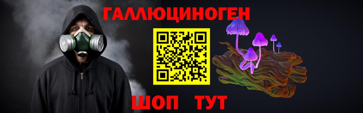 Псилоцибиновые грибы GOLDEN TEACHER  Новокубанск  Галлюциногенные грибы Psilocybe 